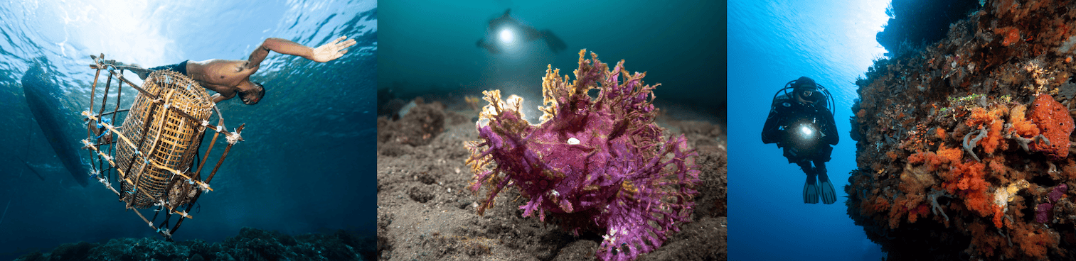 Alor Underwater Video Workshop 2026 With Jacob Guy 2 Screenshot 2026 02 02 at 5.32.18 PM